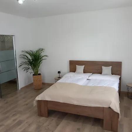 Rosa 3*